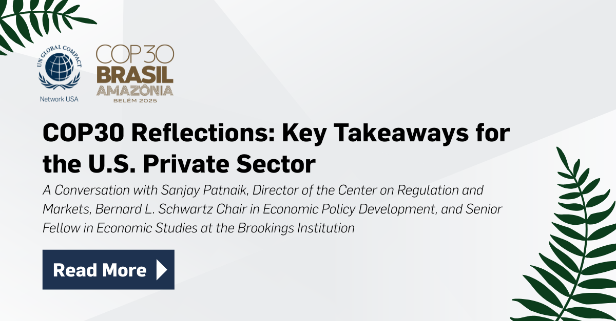 COP30 Reflections: Key Takeaways for the U.S. Private Sector