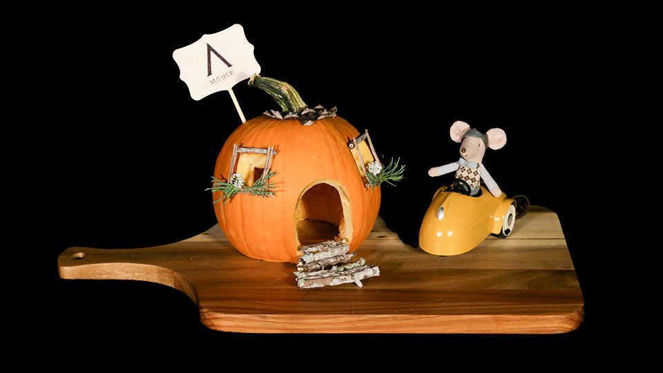 The Woodlands Mouse House Kin