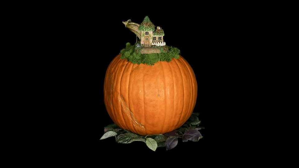 Lil House On The Prairie Kin