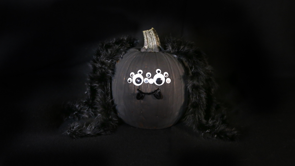 Honey Can You Come Kill This Spider Kin