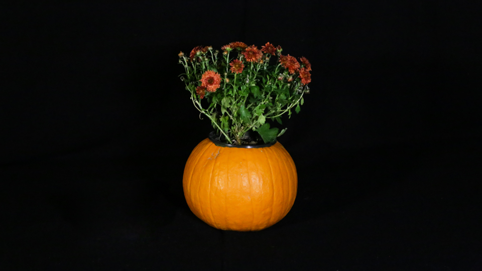 Nft Non Fungible Tokin