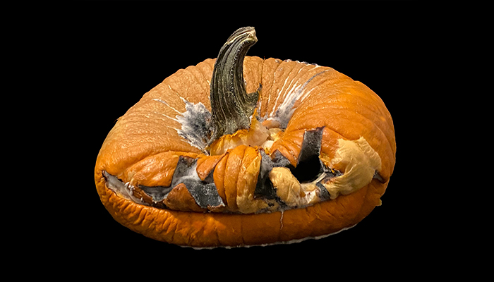 Finished It Two Weeks Too Early