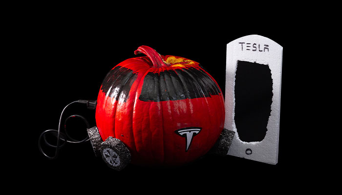 Teslakin