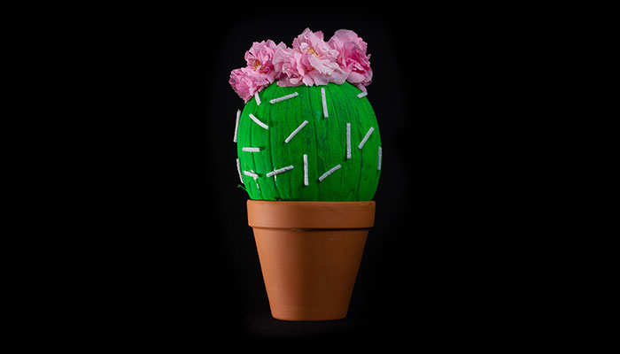 Cactus Kin
