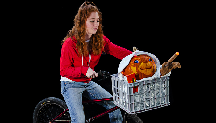 P T Pumpkin Terrestrial