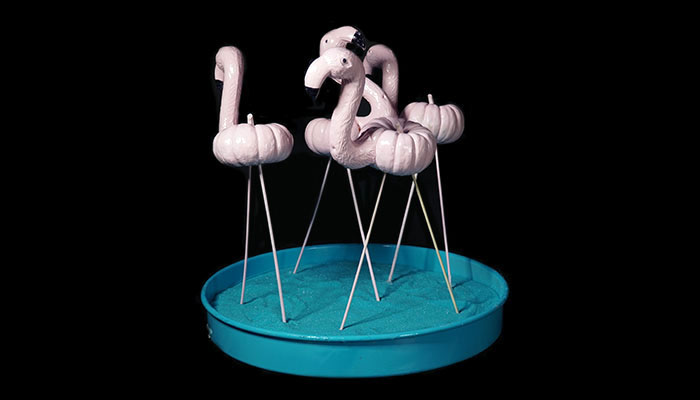 Flockin Of Flamingos