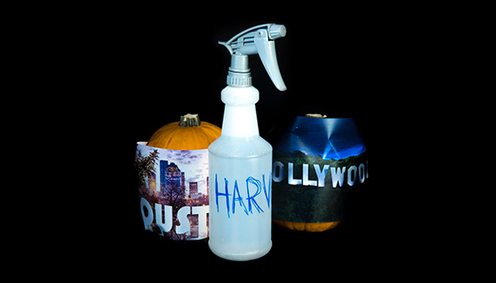 Hurricane Harvey Weinskin