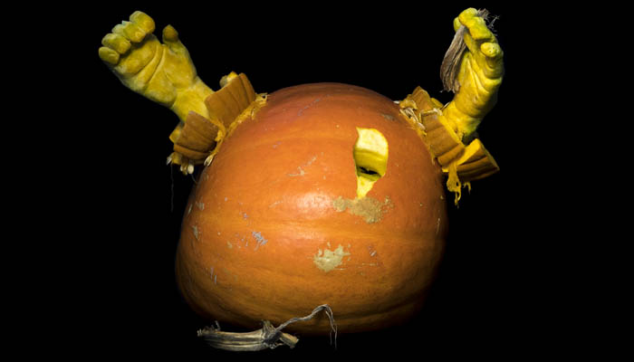 Breaking Out Of Your Shell Kin