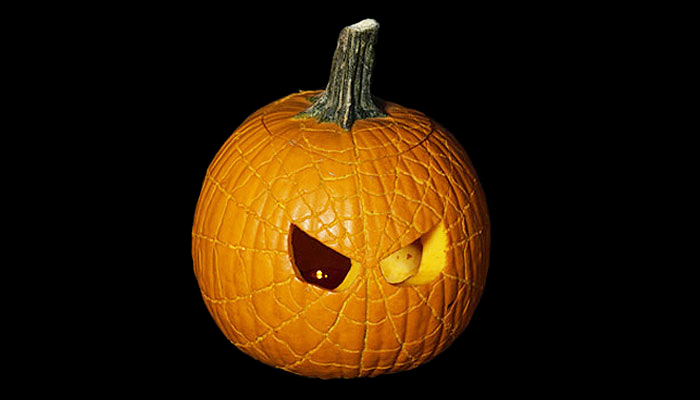 The Amazing Spider Kin