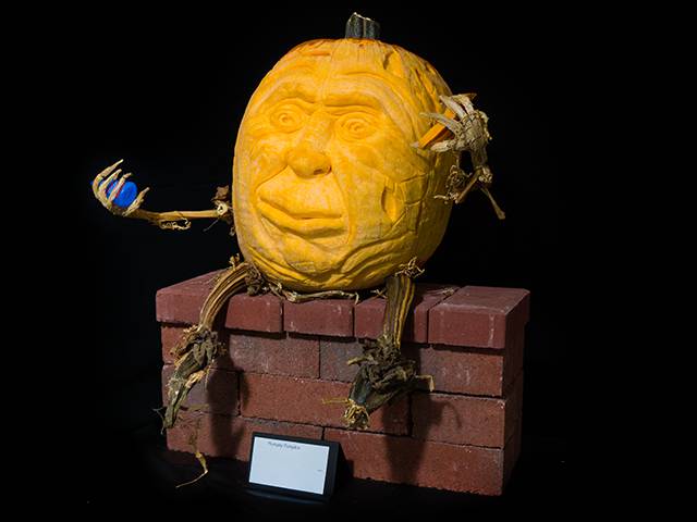 Humpty Pumpkin