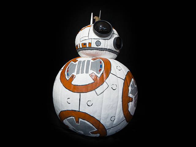 BB-8 Droid Kin