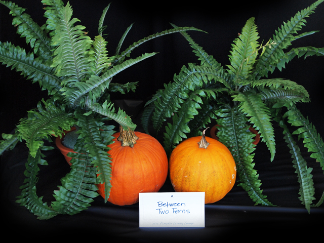 Between Two Ferns