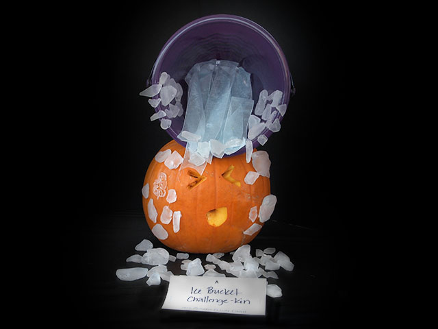 Ice Bucket Challenge Kin