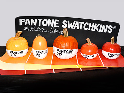 Pantone Swatchkins The Batcetera Edition