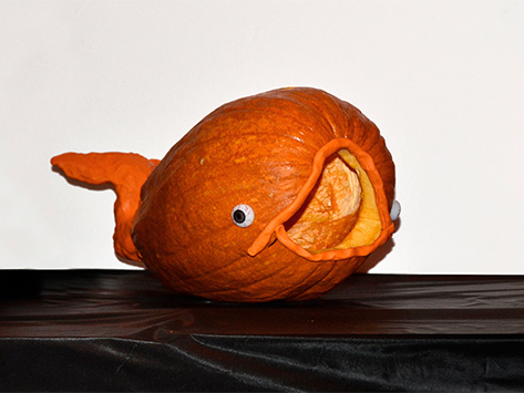 A Whale Of A Pumpkin