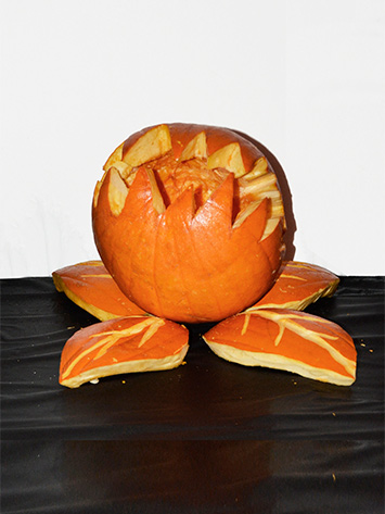 Little Shop Of Gourd Or