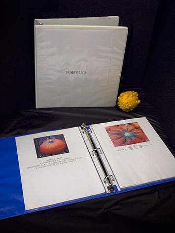 Binders Full Of Pumpkins