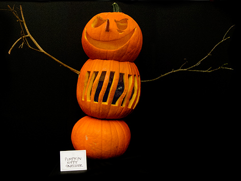 Pumpkin Pussy Snatcher