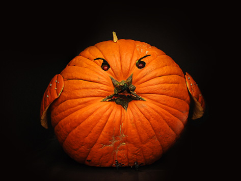 Nerveus Bird Pumpkin