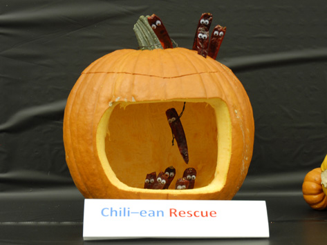 Chili Ean Rescue