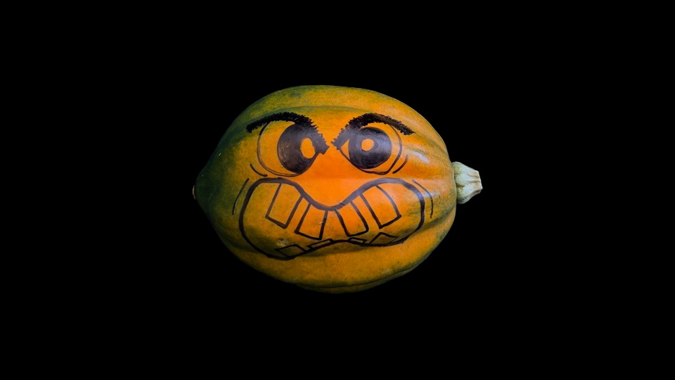 Angry Eyebrow-kin