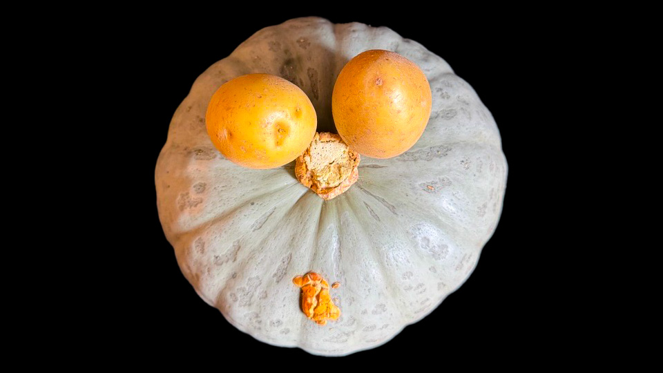 Head, Tatoes, Goatee, & Nose