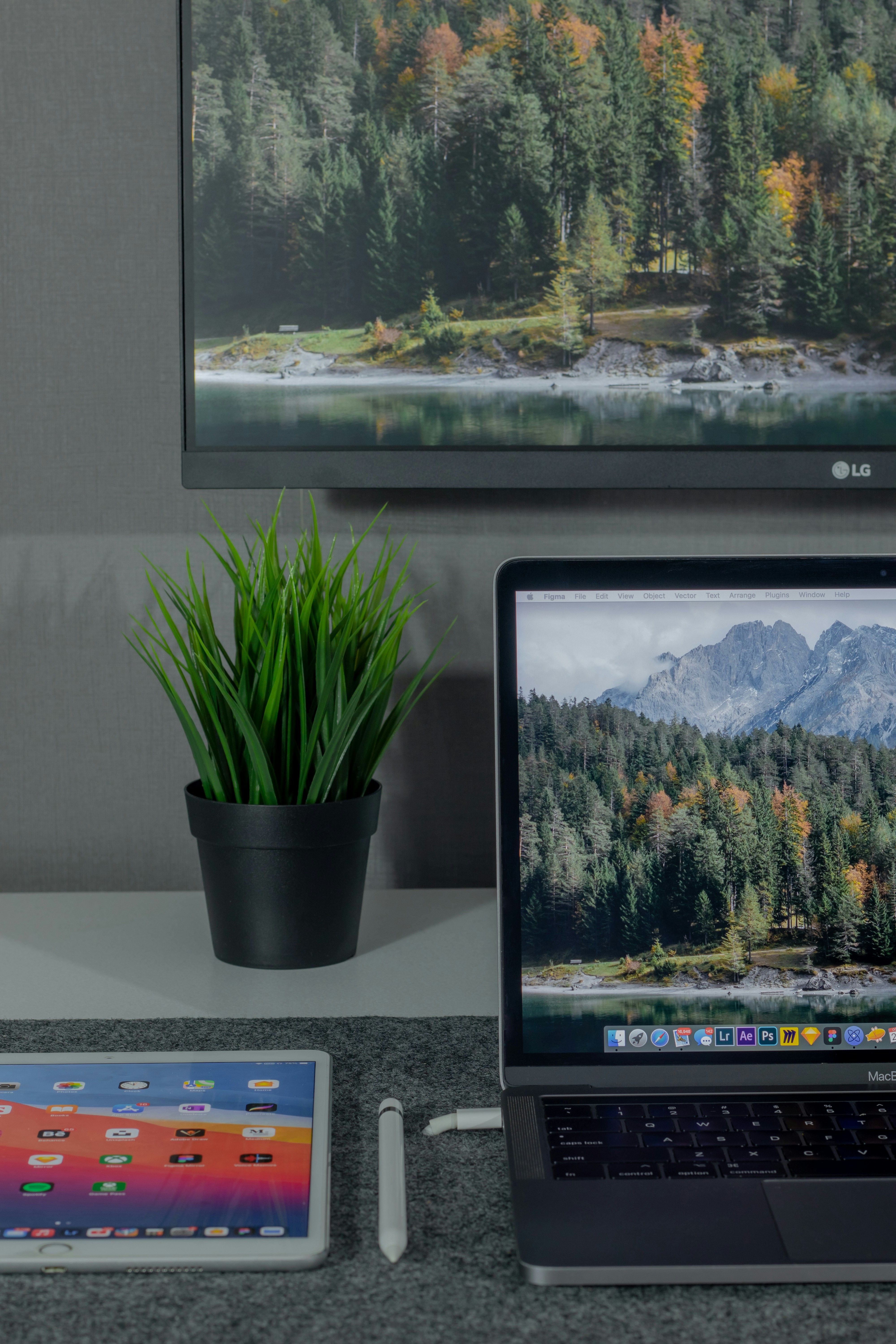 Computer setup with plant