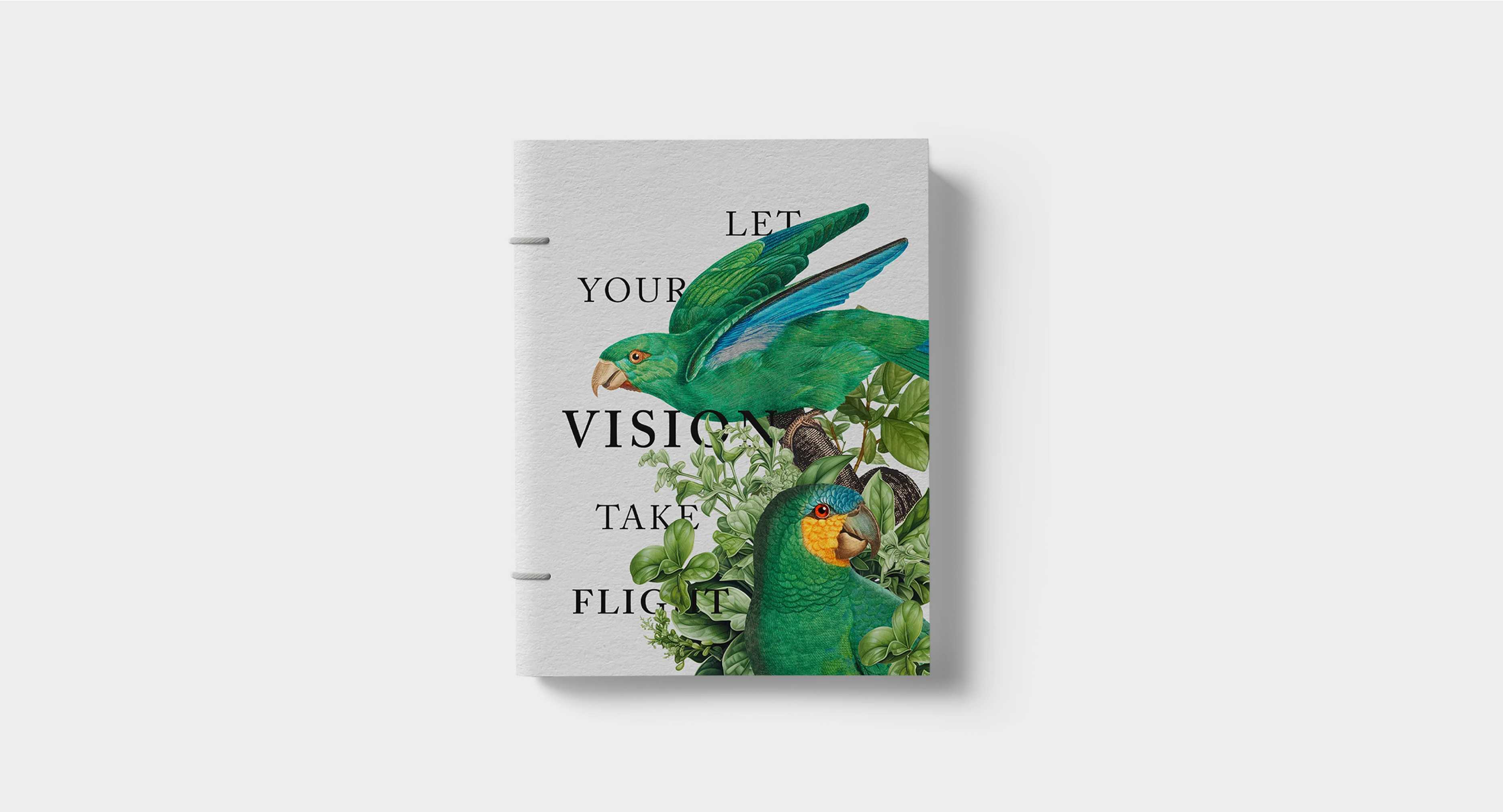 Graphics & Print