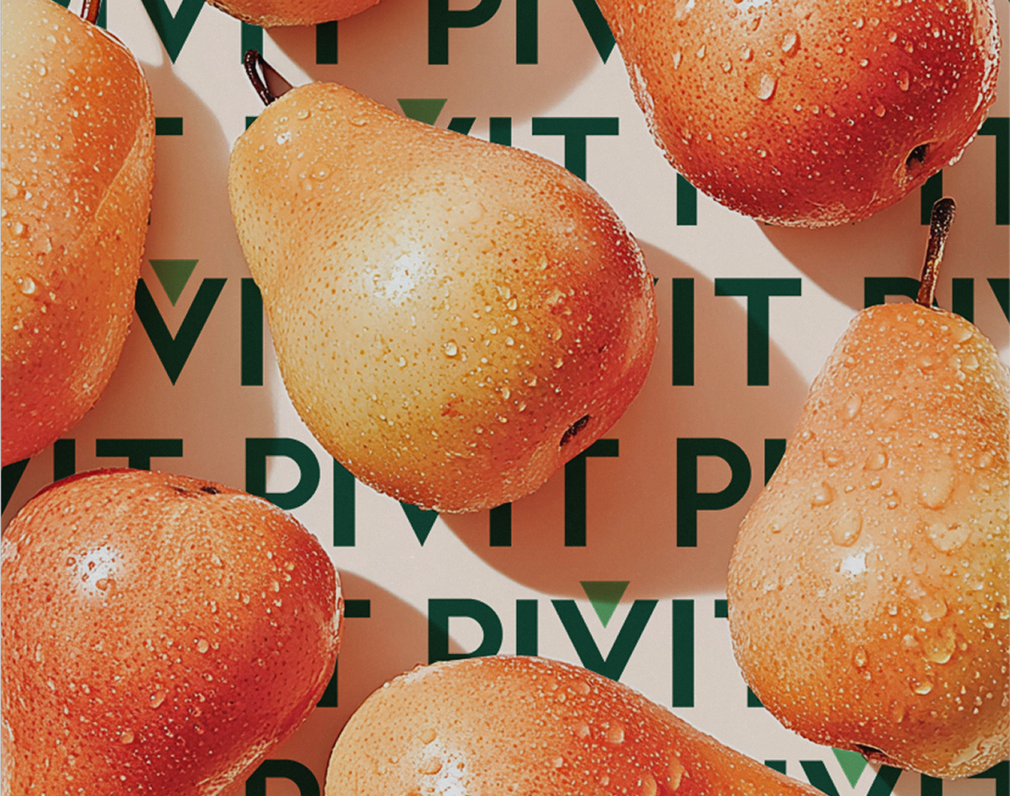 Pivit