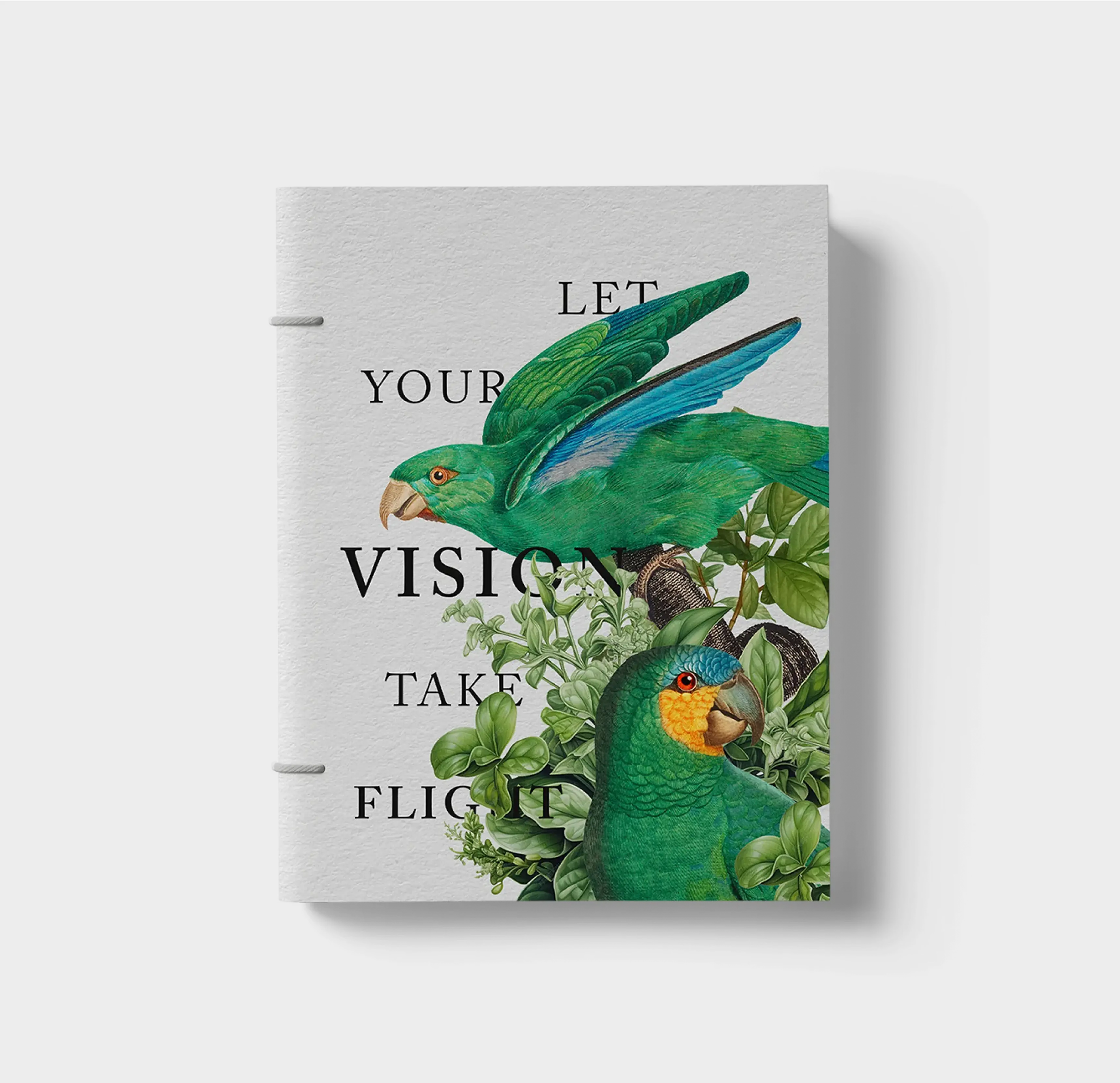 Graphics & Print