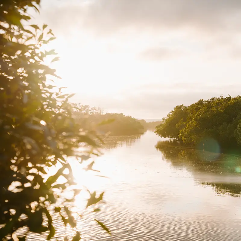 Fraser Coast river sunrise
