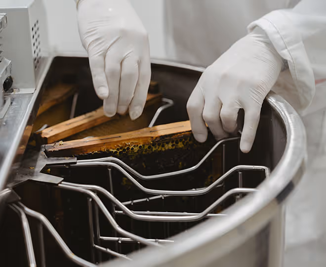 Manuka honey testing