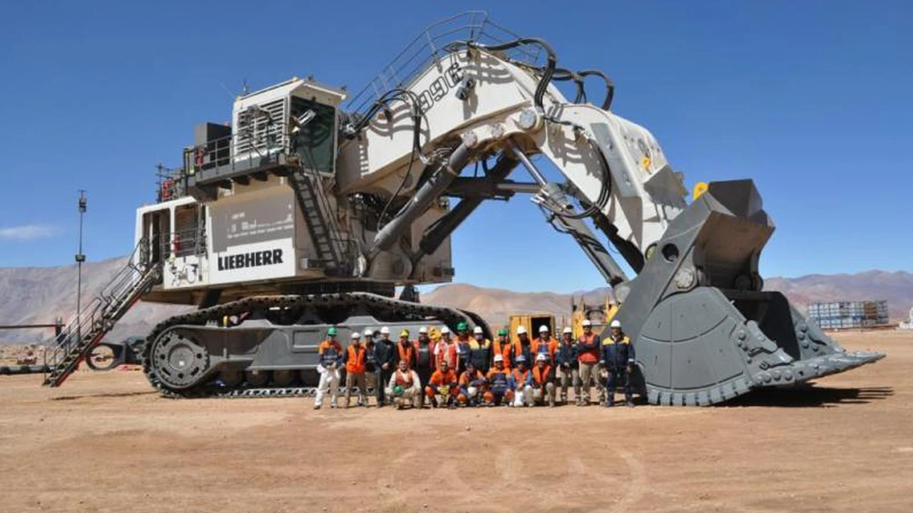A group of workers in safety gear stands in front of a large Liebherr excavator at an oilfield site, showcasing heavy machinery used for operations. The setting illustrates the environment where oilfield heavy equipment operators and labourers work.