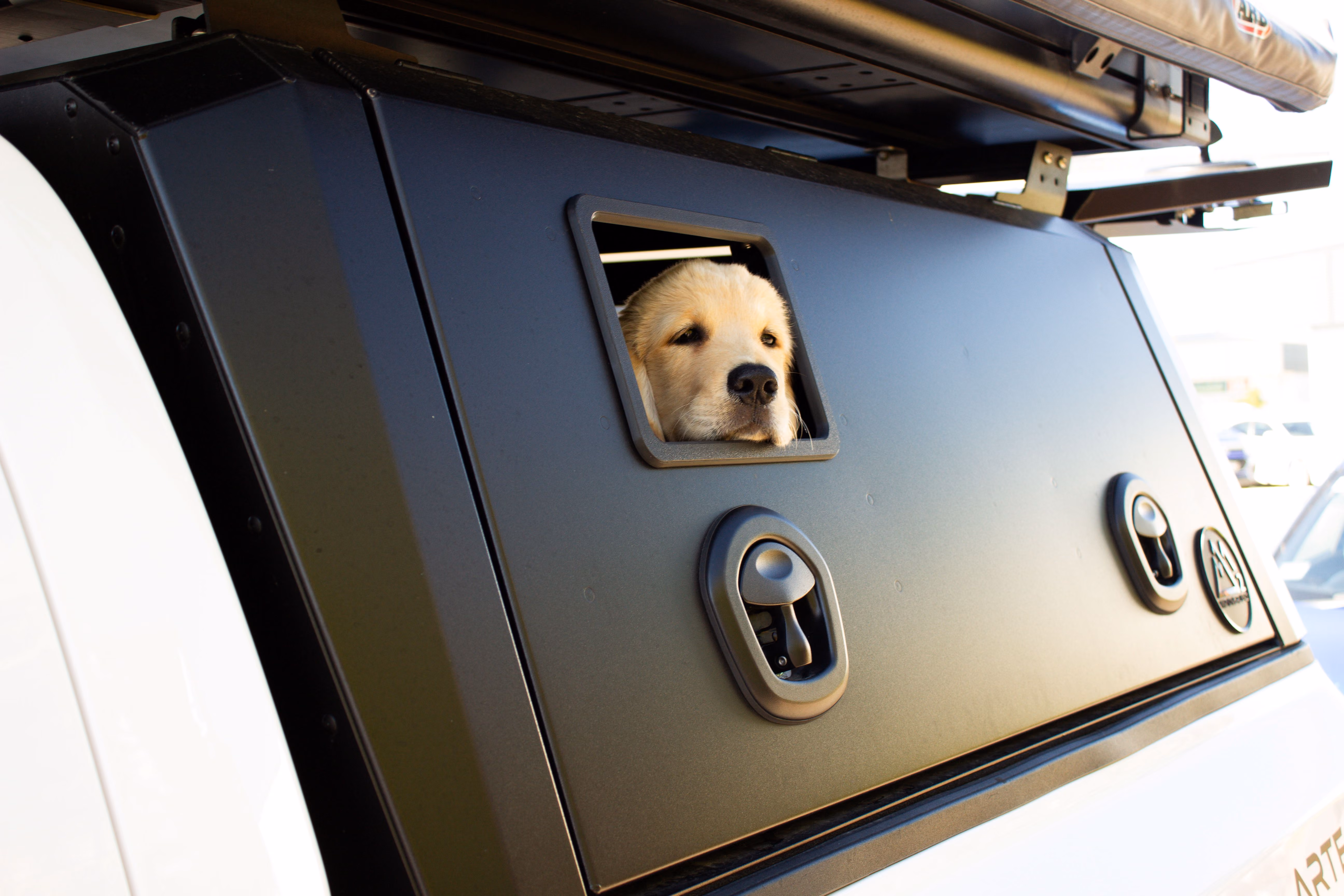 Artemis Ventilation Hatch (Dog Door)
