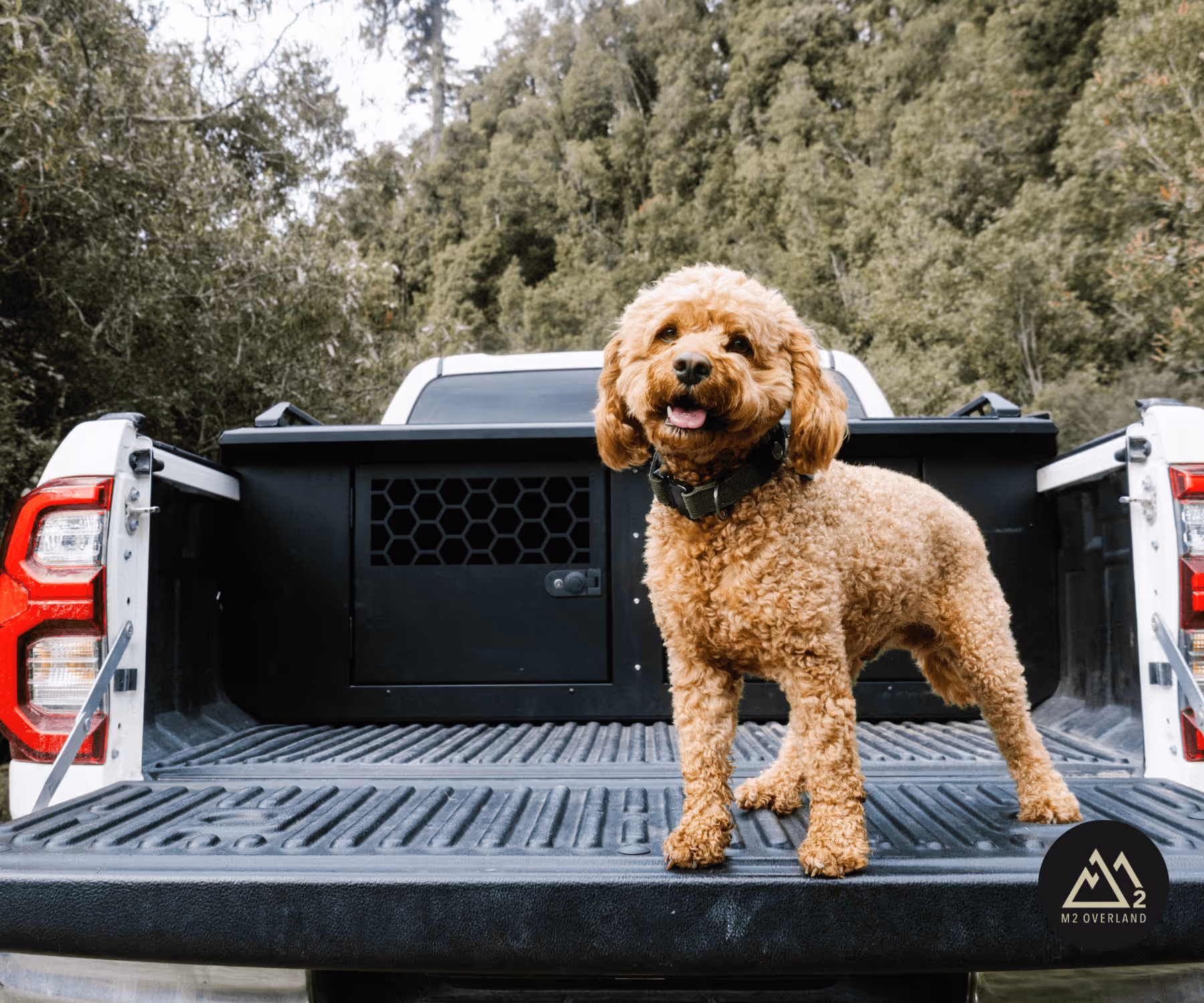 ute half dog box system