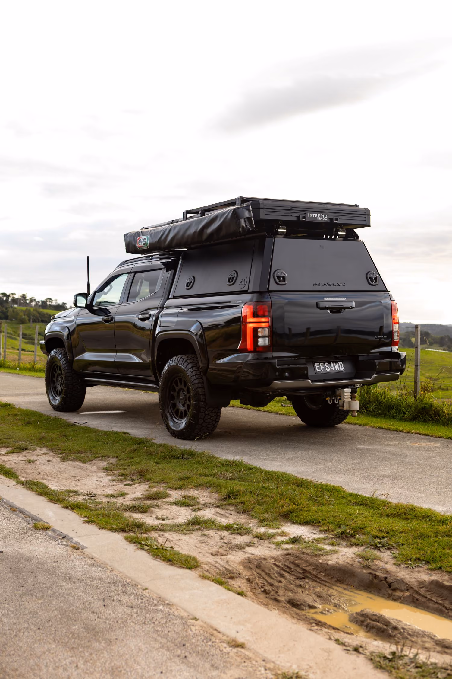 triton with artemis wellside canopy