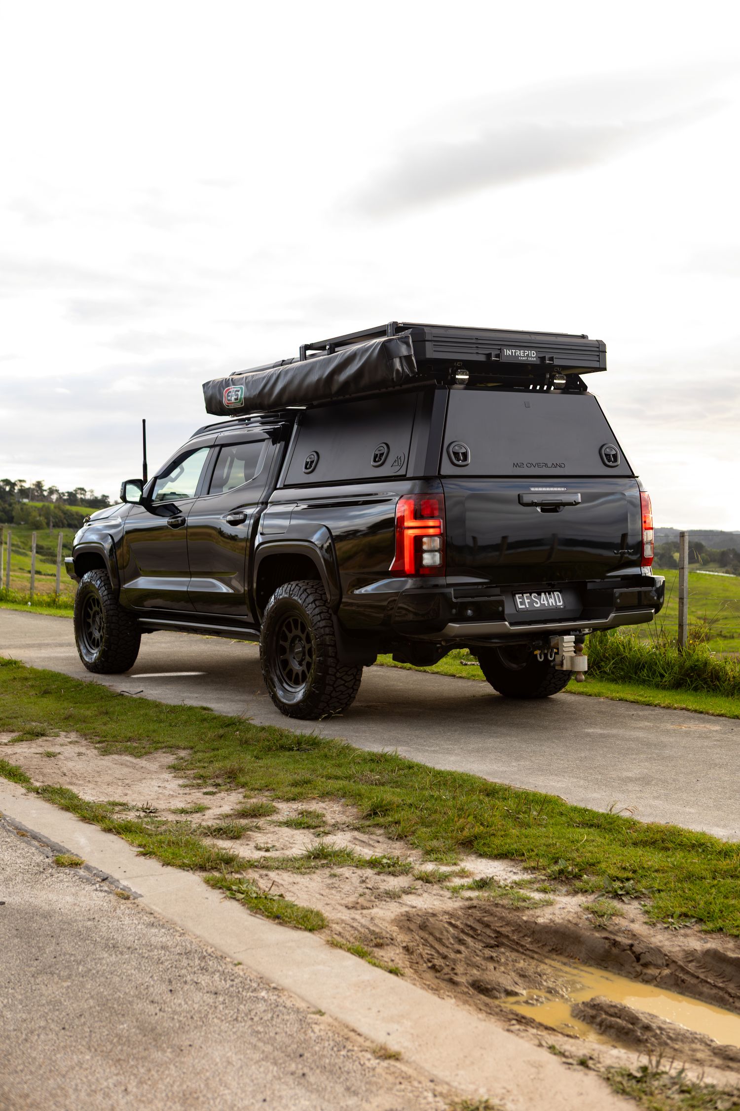 triton with artemis wellside canopy