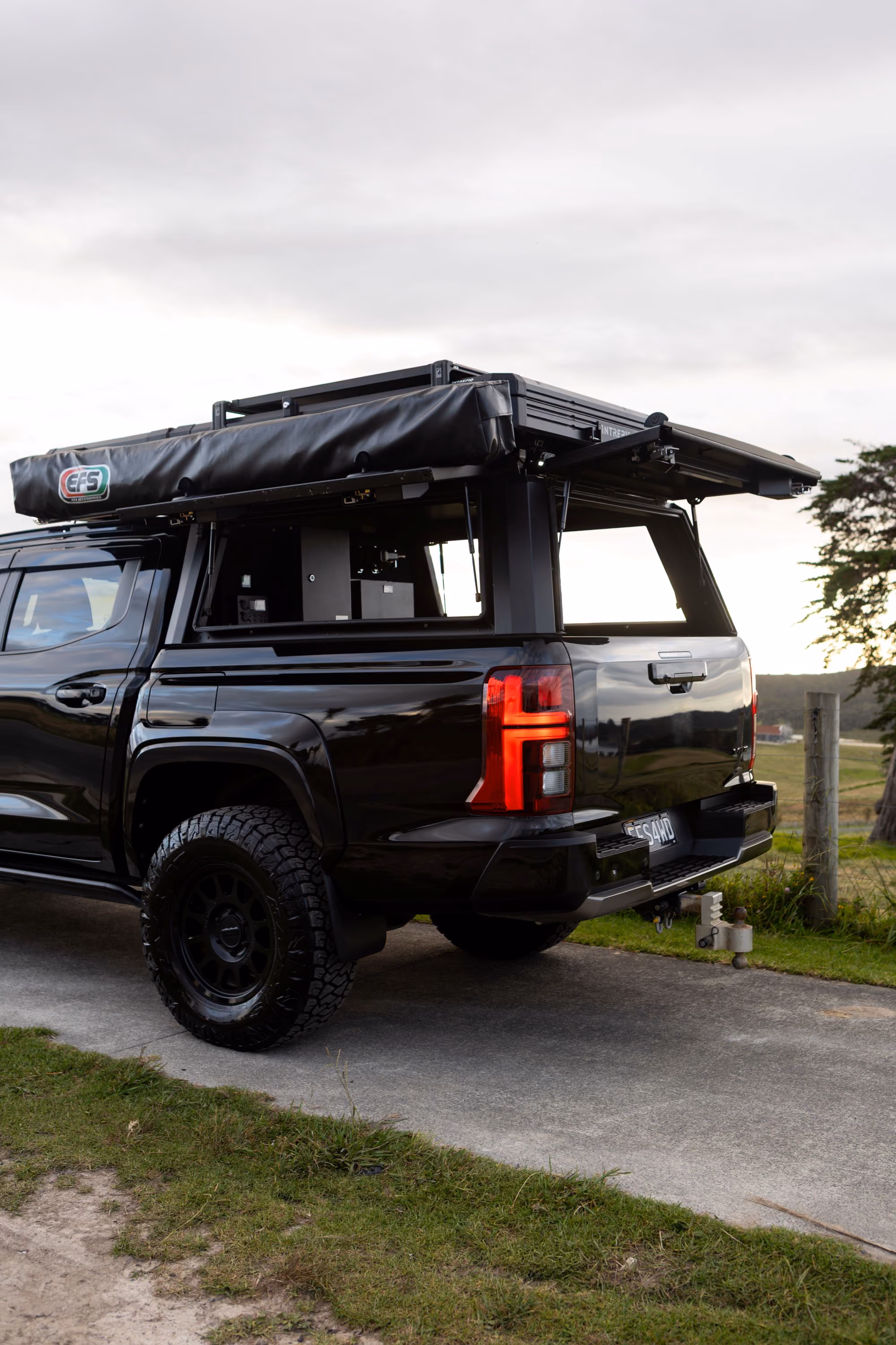 triton with artemis wellside canopy