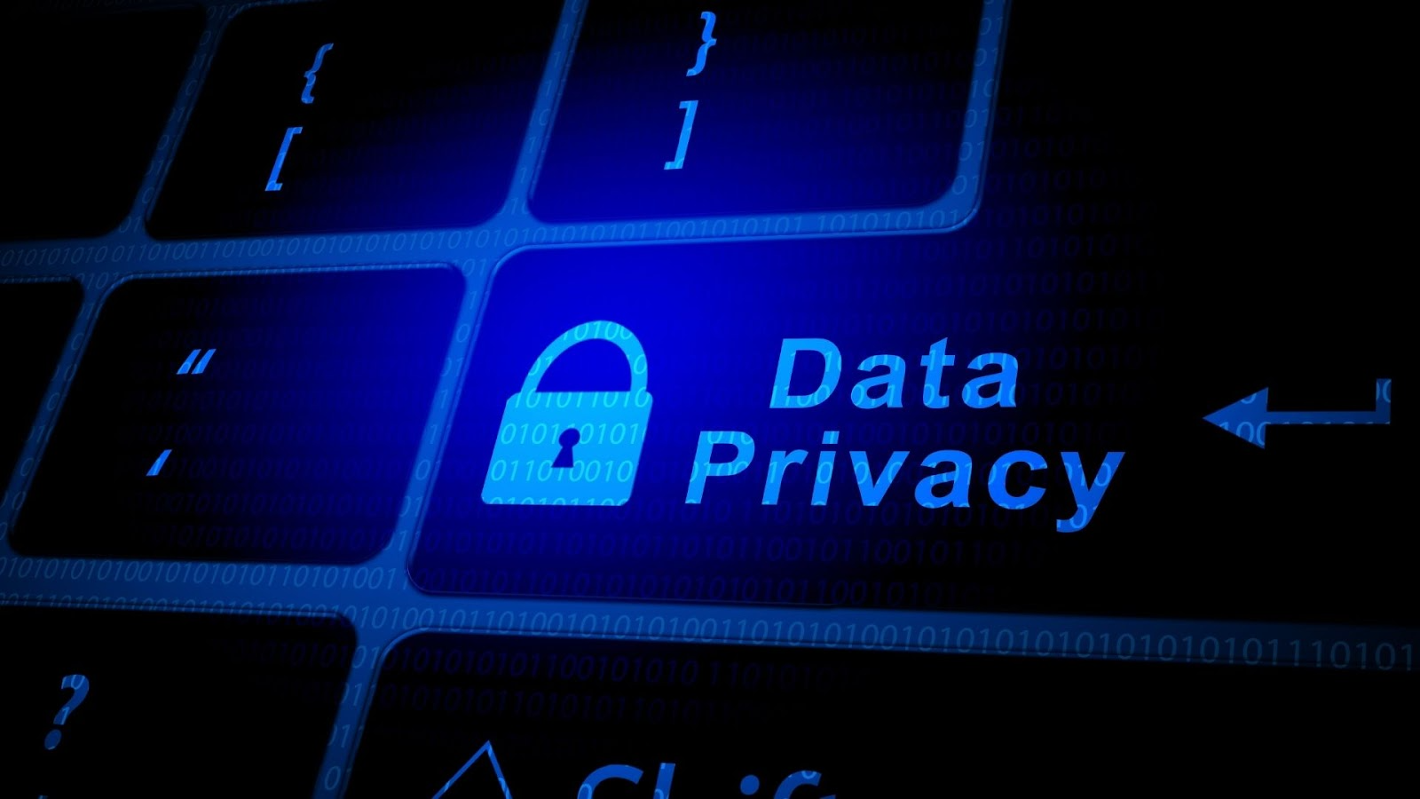 Ensuring Security and Privacy in Debt Management Platforms