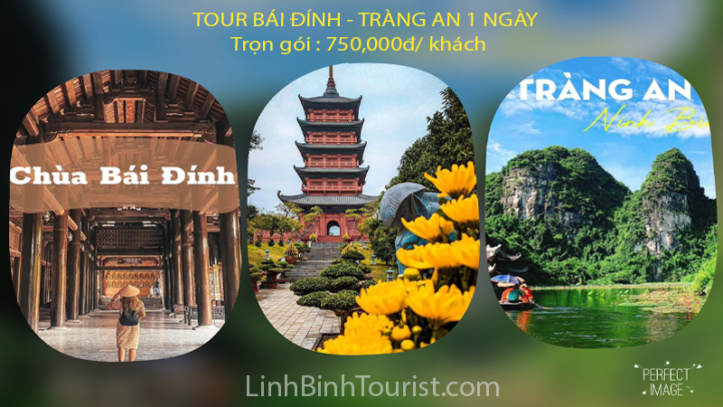 Tour Bái Đính - Tràng An 1 ngày