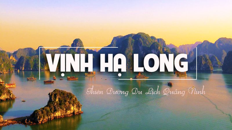 Tour Hạ Long 1 ngày