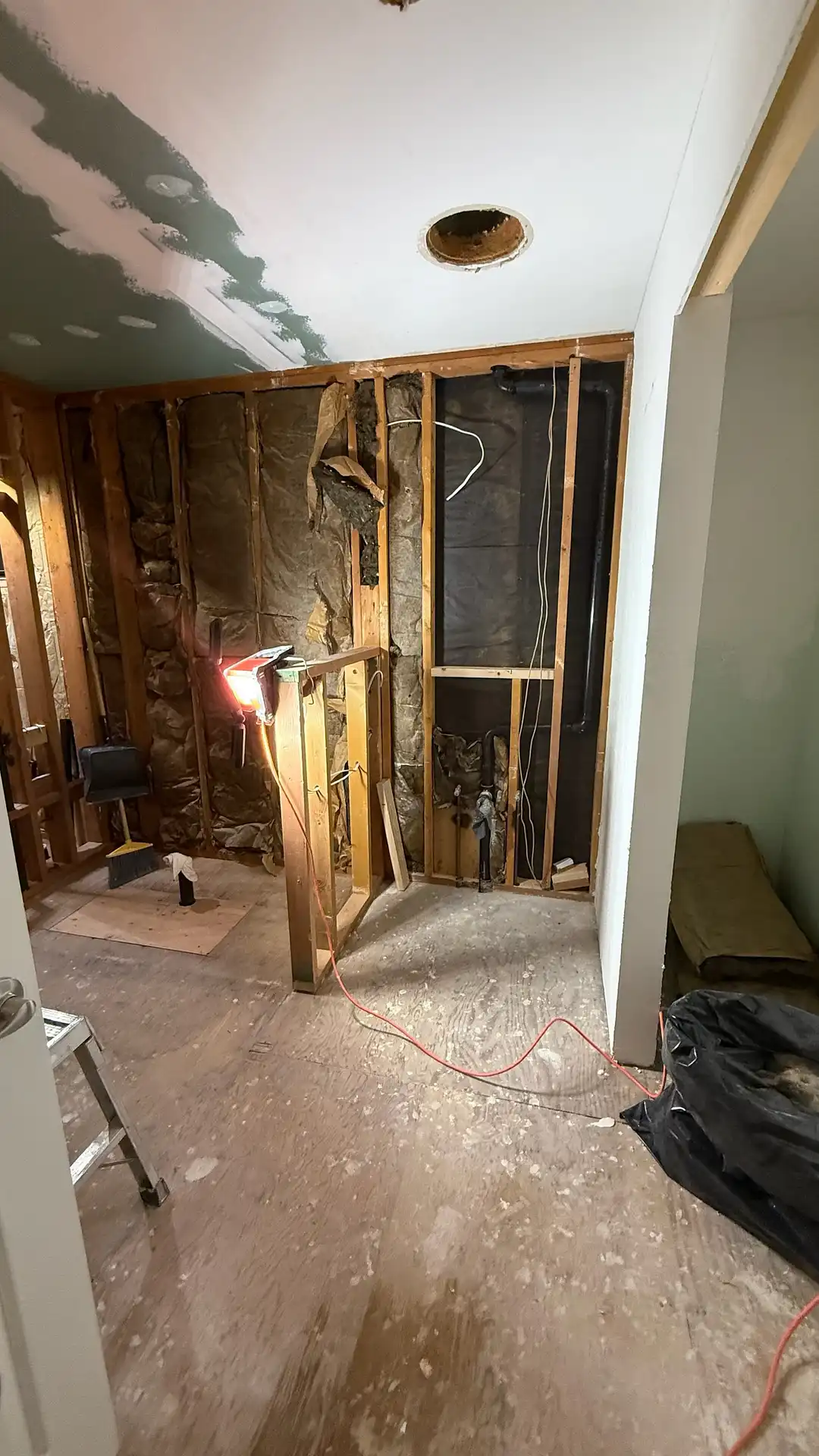  Master Bathroom Transformation – Woodinville Process