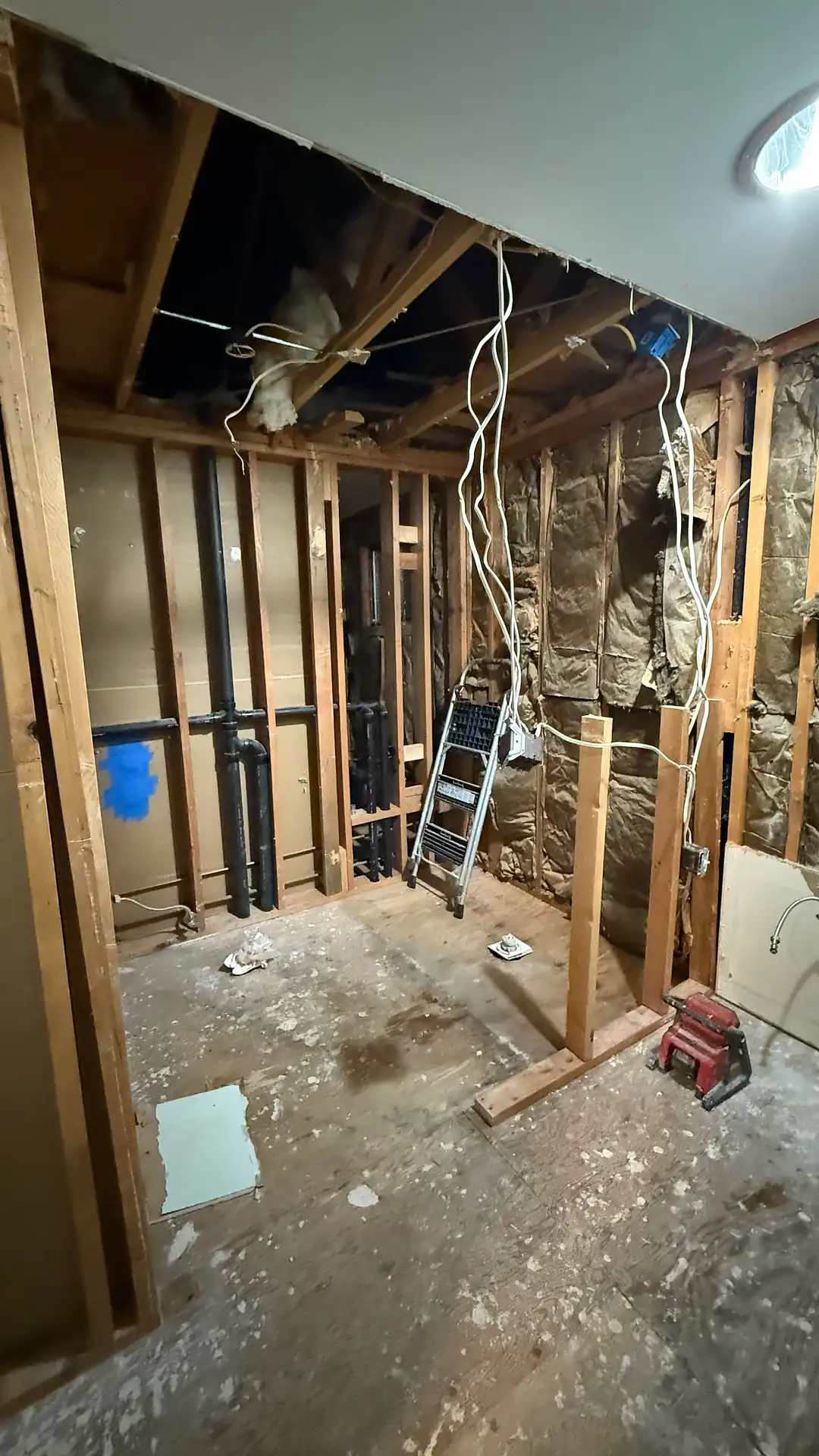  Master Bathroom Transformation – Woodinville Process