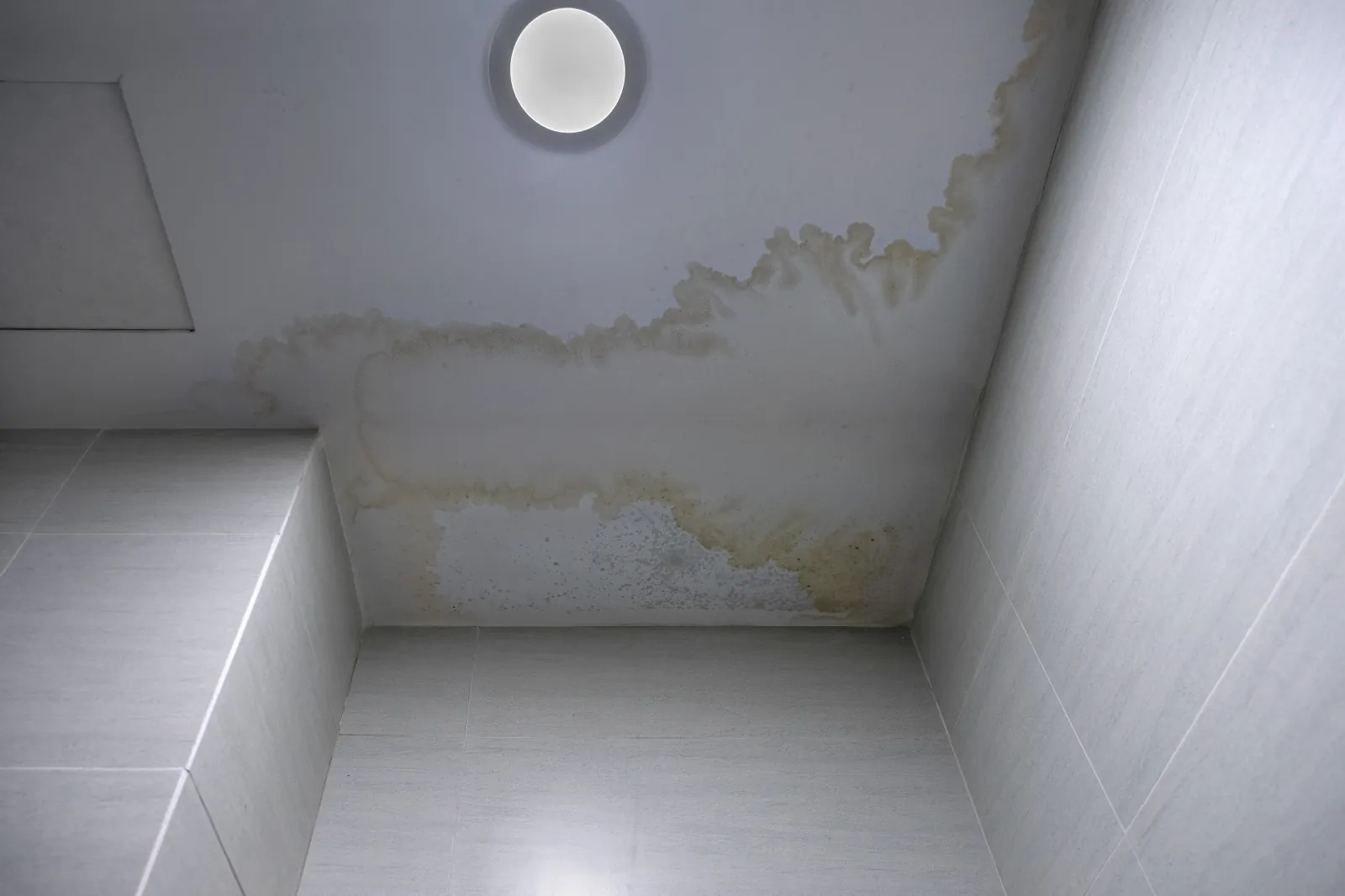 Hidden water damage in bathroom showing peeling paint and mold growth near shower tiles