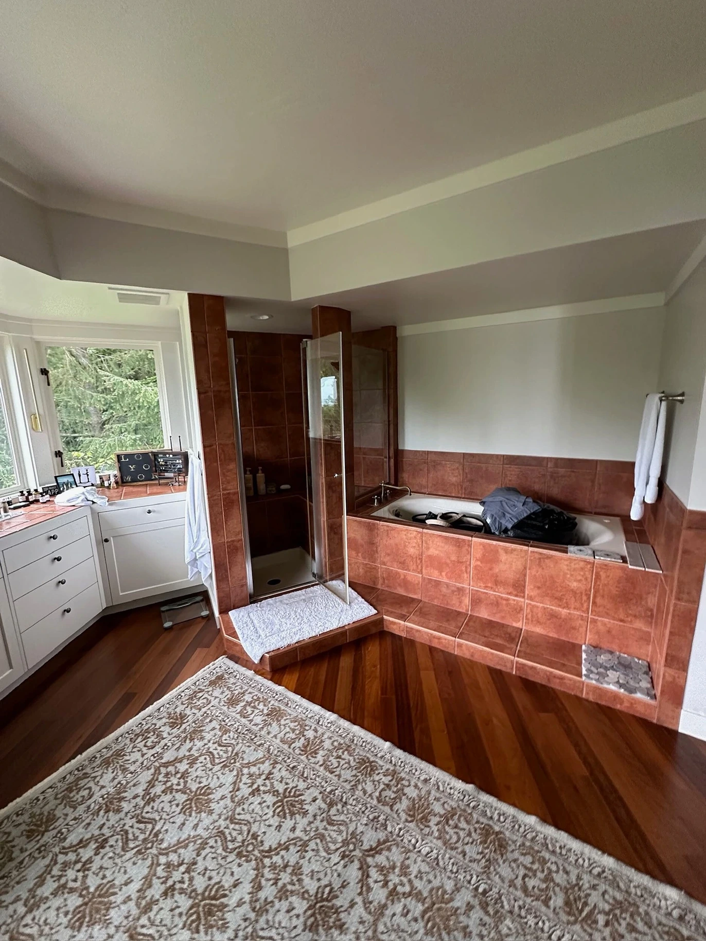 Spa-Inspired Primary Bath Remodel in Seattle, WA Before 1