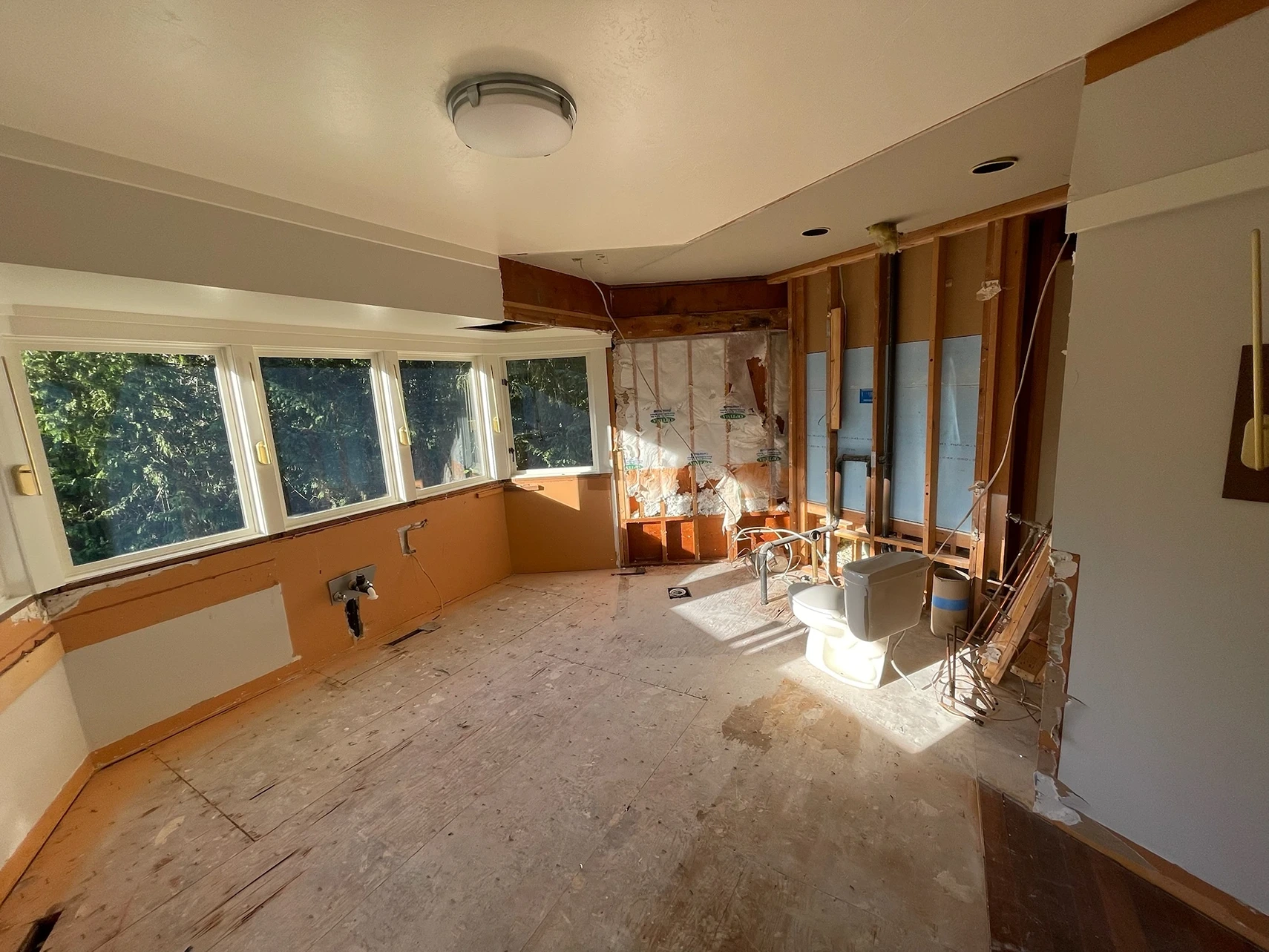Spa-Inspired Primary Bath Remodel in Seattle, WA Process 1