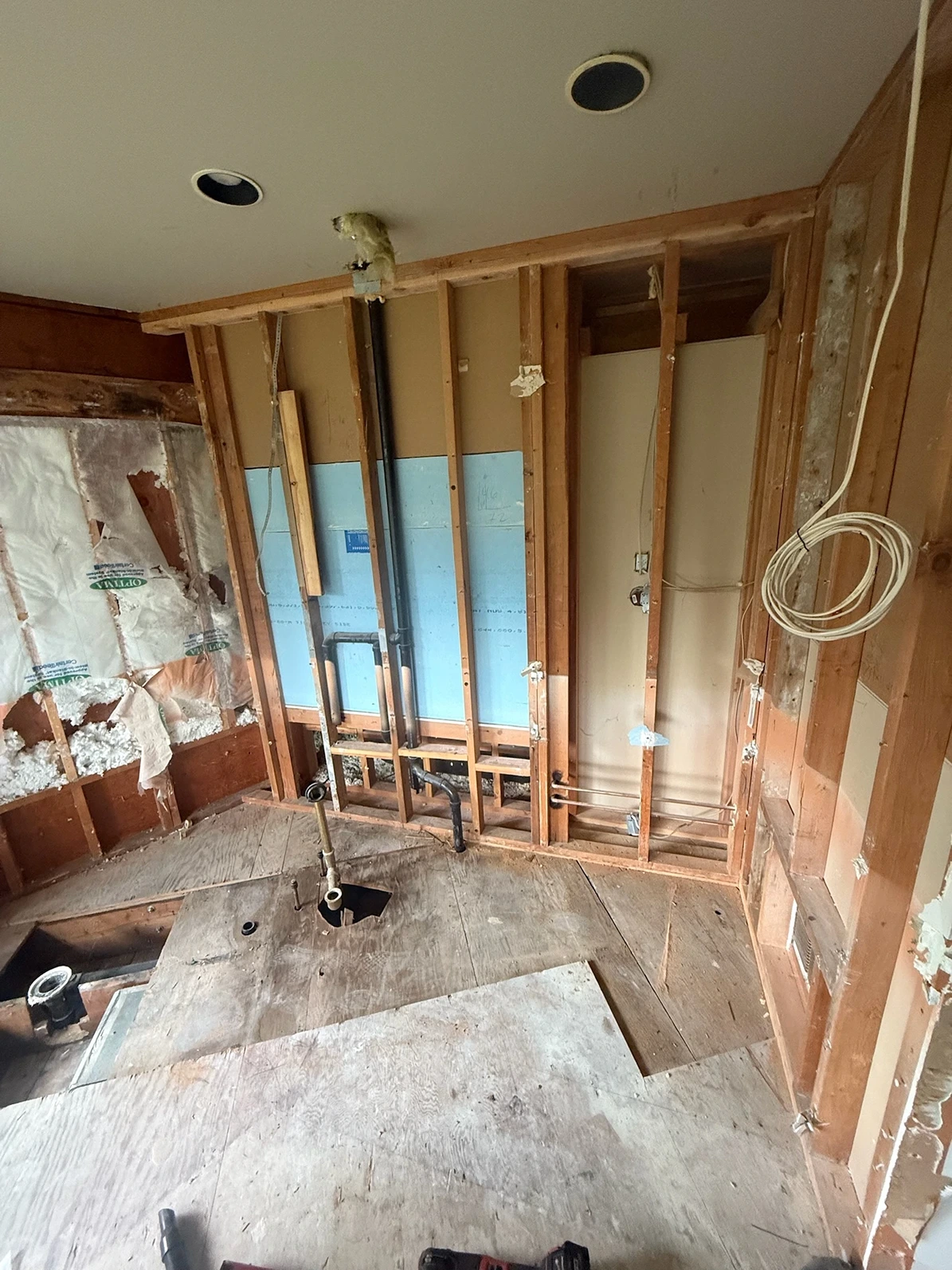 Spa-Inspired Primary Bath Remodel in Seattle, WA Process 2