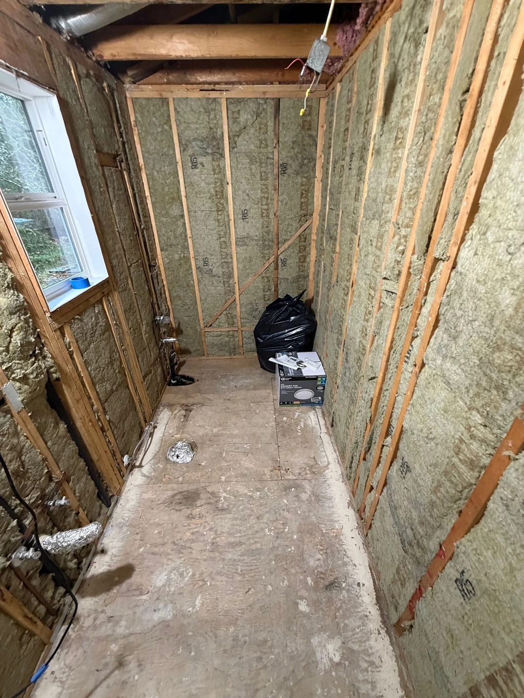 Bold, Eclectic Guest Bath Remodel in Snohomish, WA Process 3