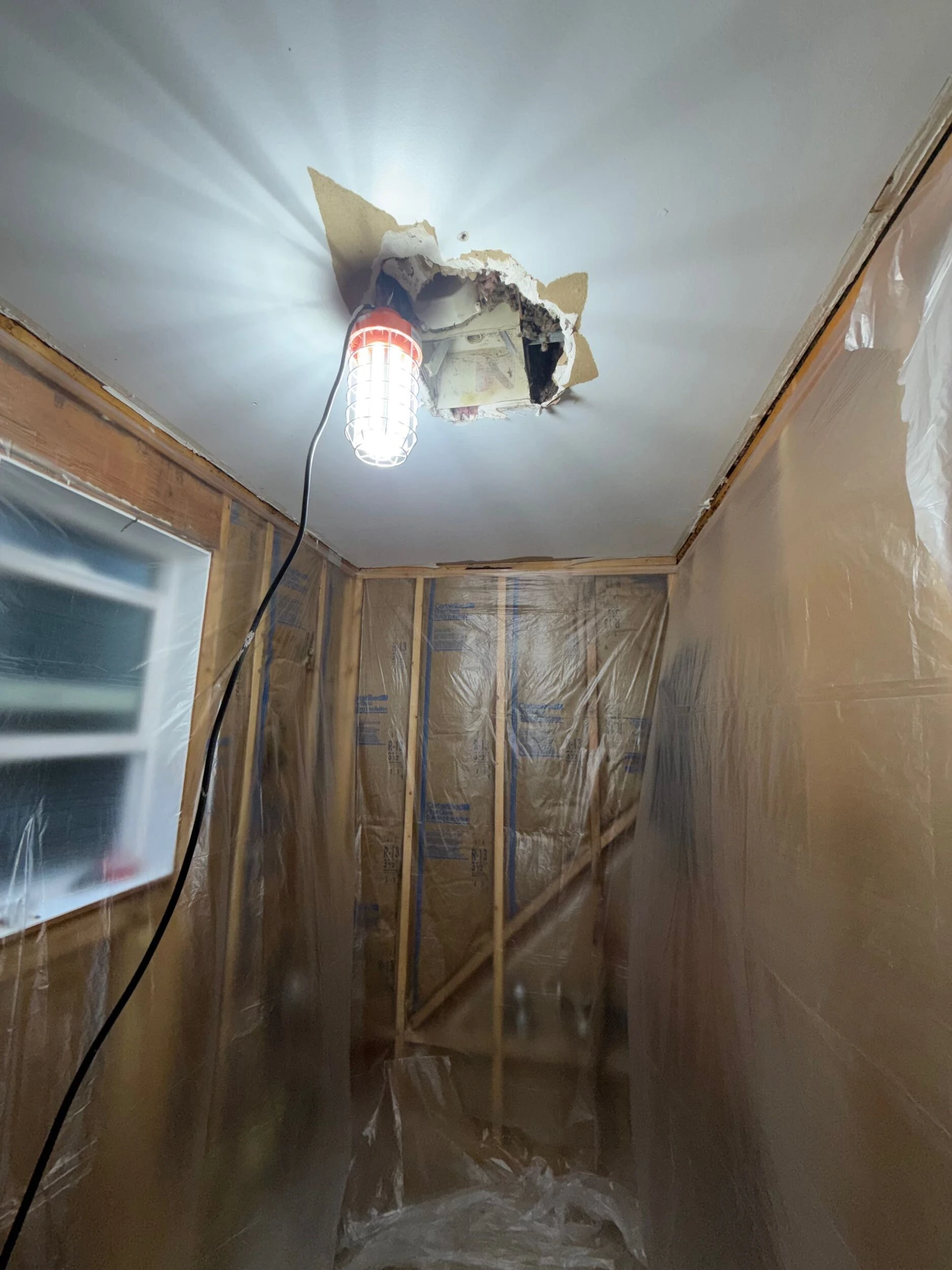 Bold, Eclectic Guest Bath Remodel in Snohomish, WA Process 4