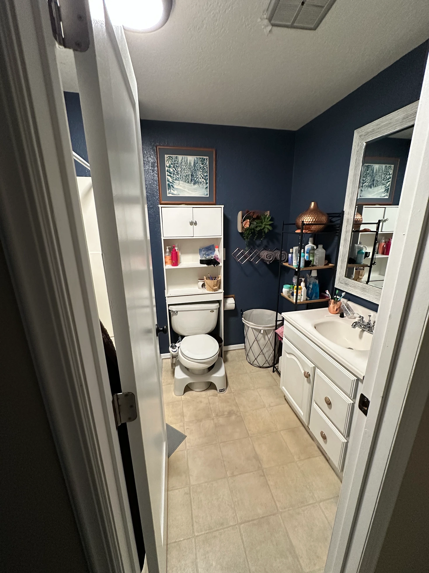 ADA-Accessible Bathroom Remodel in Woodinville, WA Before 2